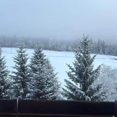 Apartment View